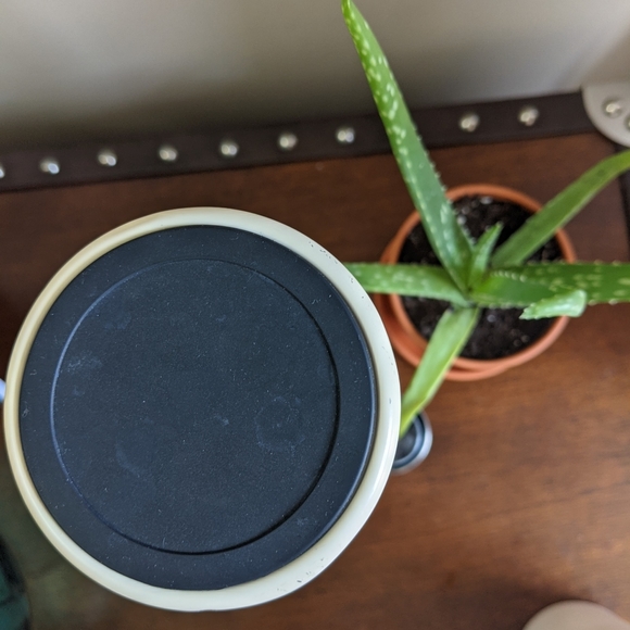 Rae Dunn Water Bottle - Picture 3 of 3